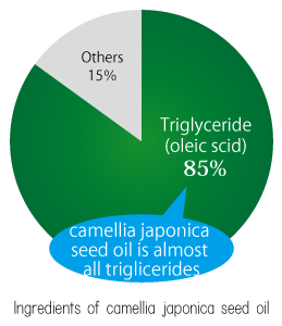 Ingredients of camellia japonica seed oil
